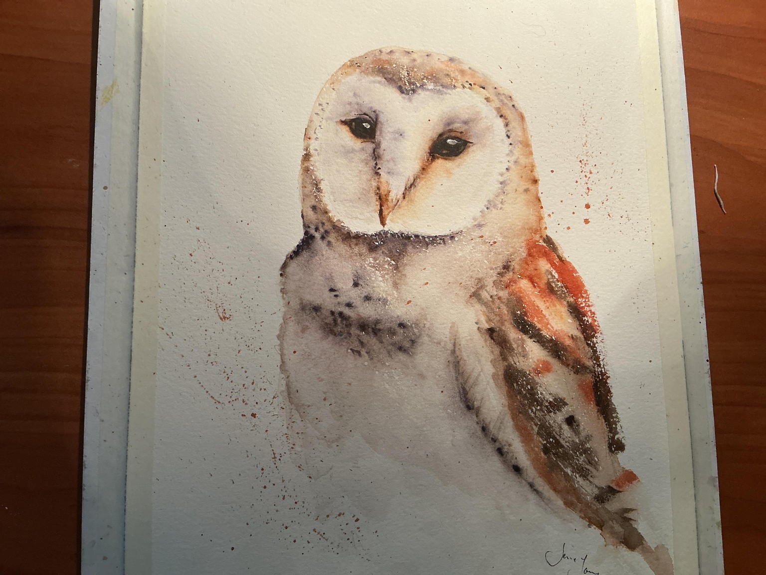 Barn Owl Free Flow - image 1 - student project