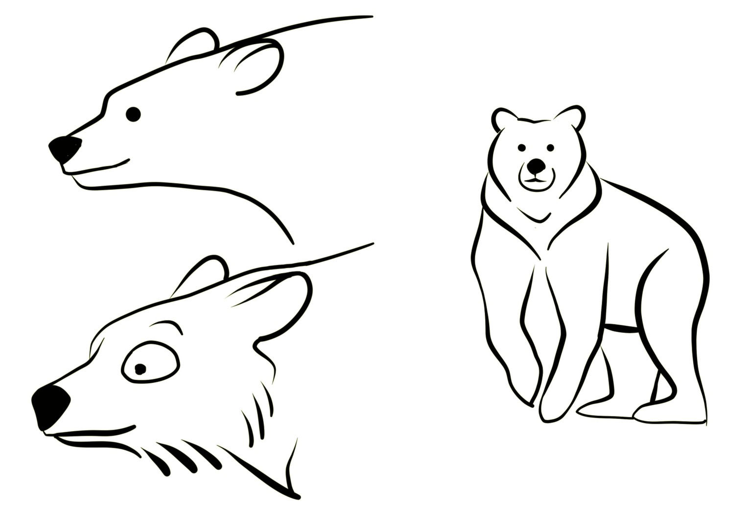 Drawing exercices for animal character design - image 4 - student project