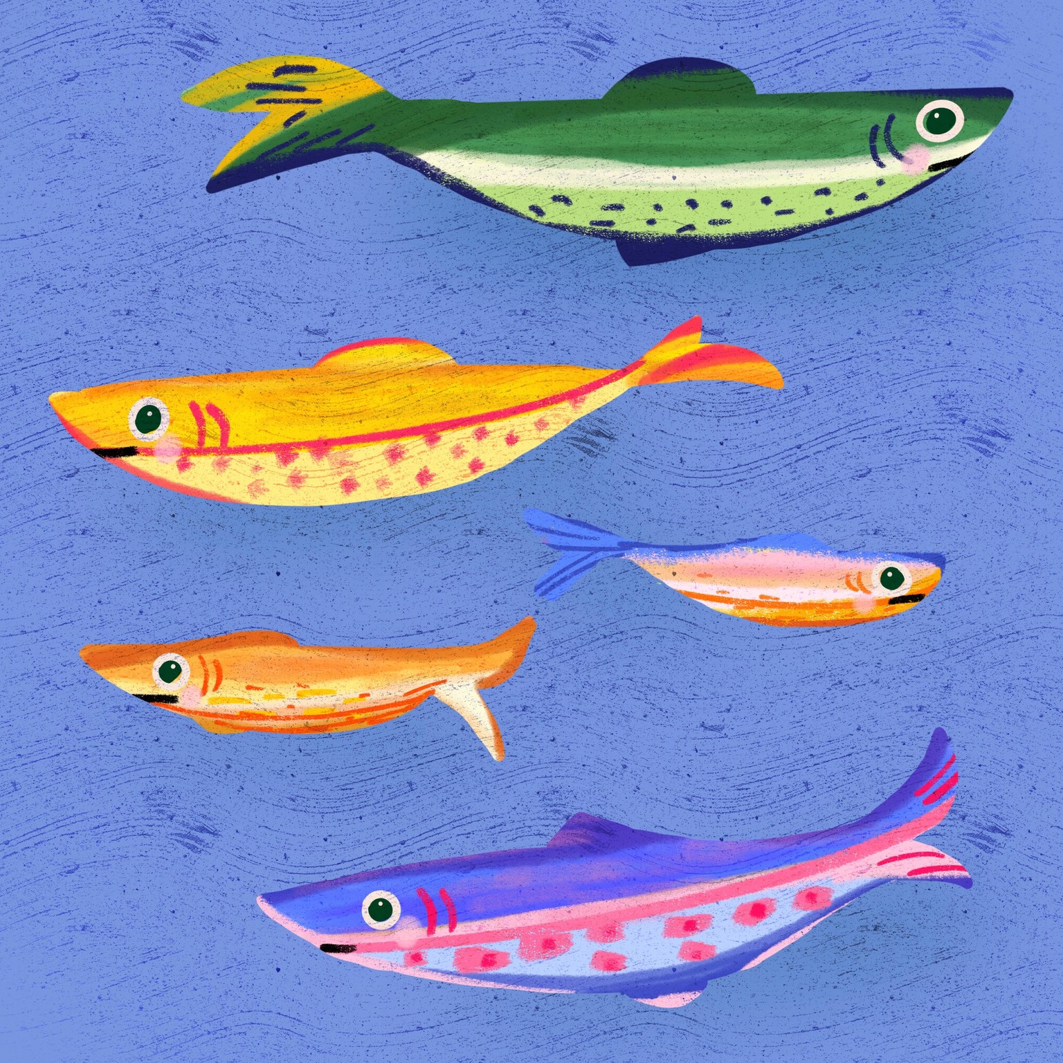 Sardines - made a pattern from mine - image 2 - student project