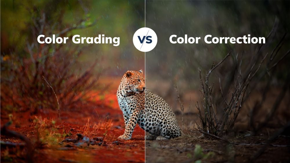 Color Grading - image 1 - student project