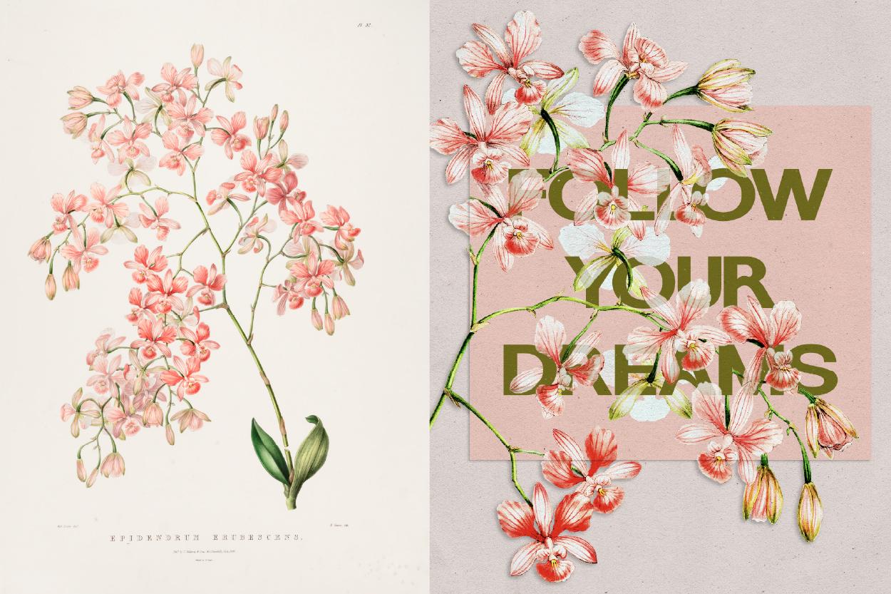 Botanical Greeting Cards - image 1 - student project