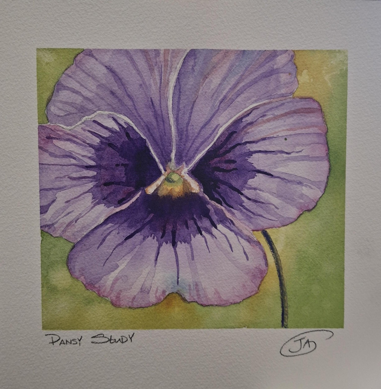 Watercolor Pansies - image 1 - student project