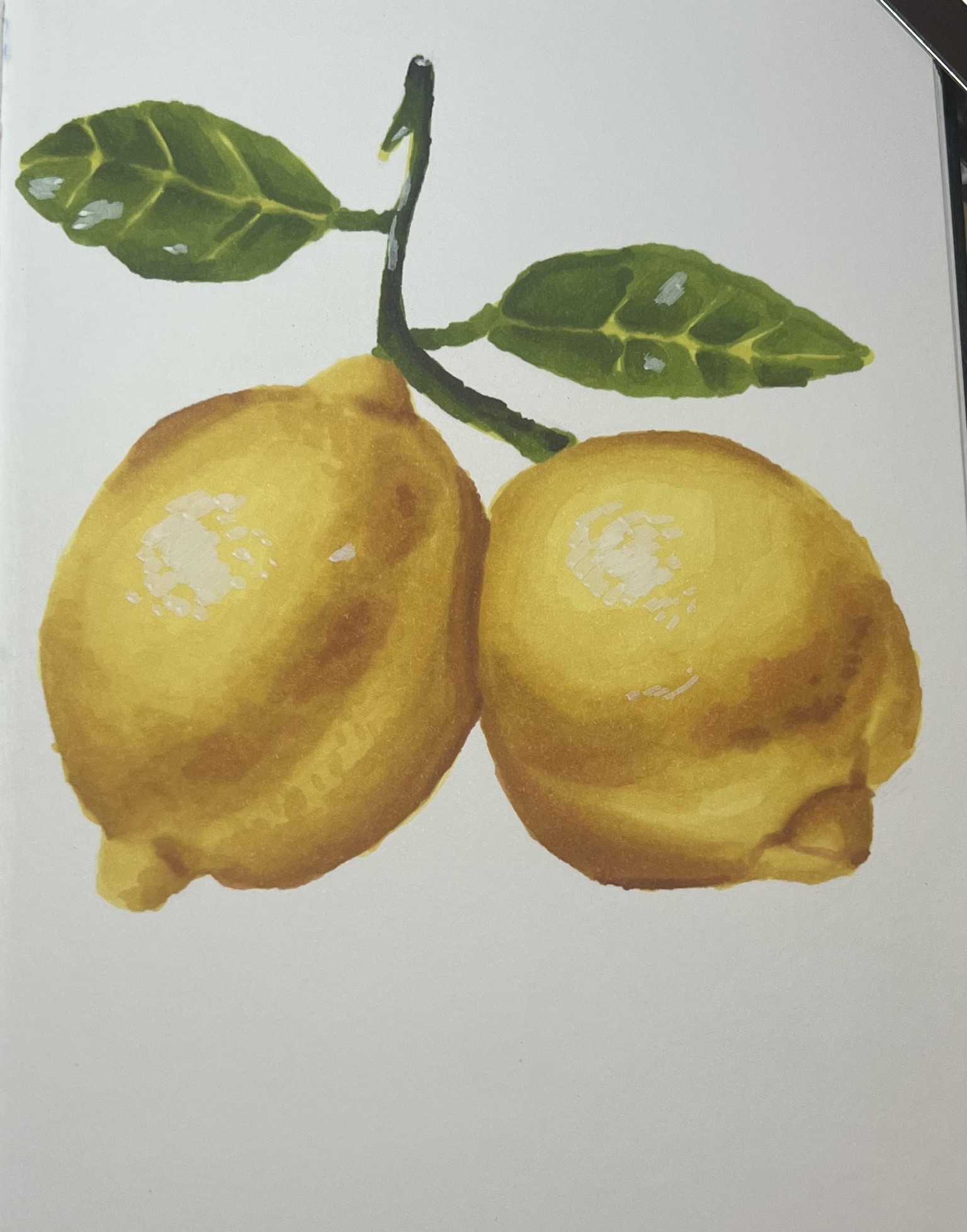 Lemons with Ohuhu Markers - image 1 - student project