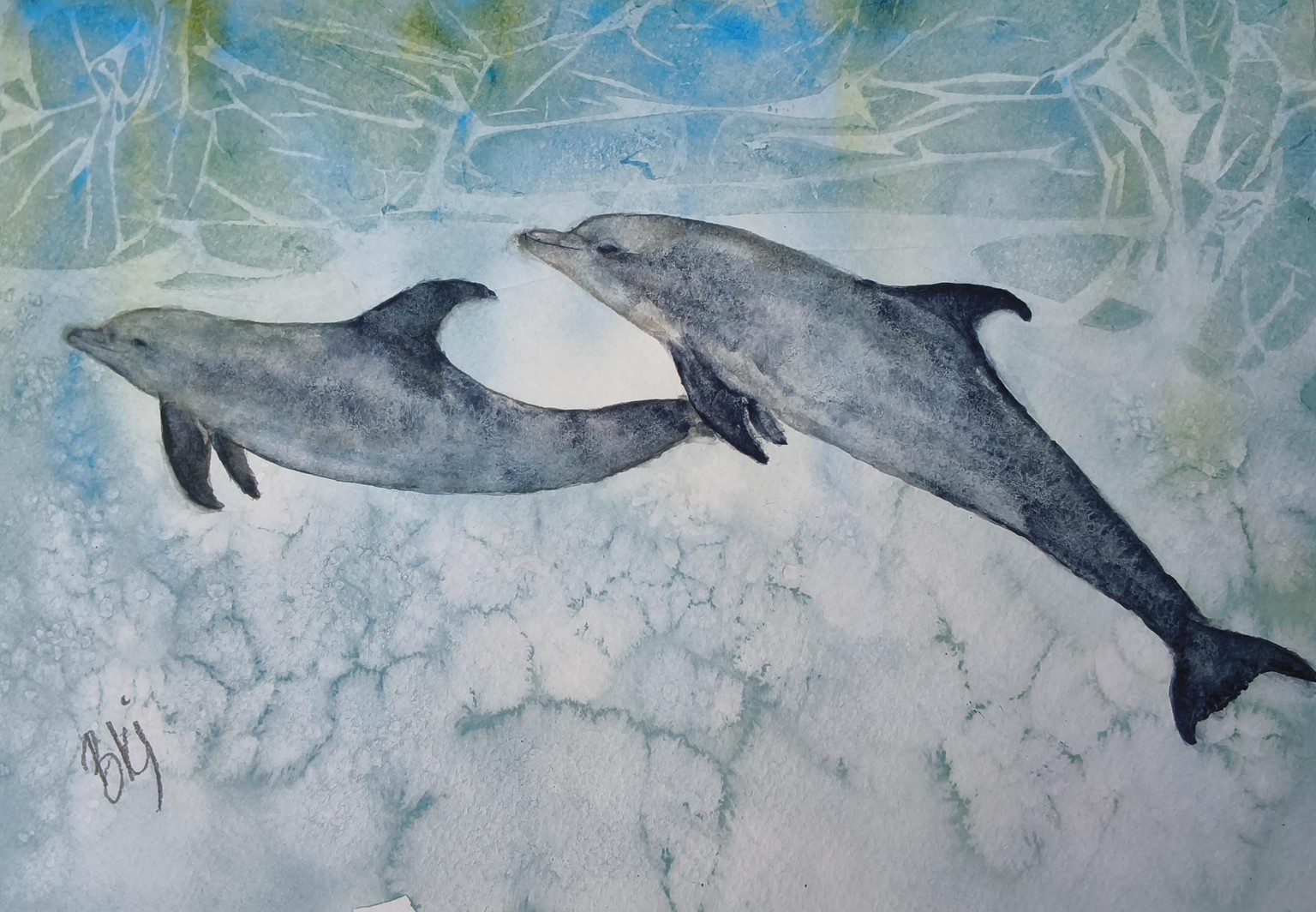 Dolphins! Not as easy as it seems! - image 1 - student project