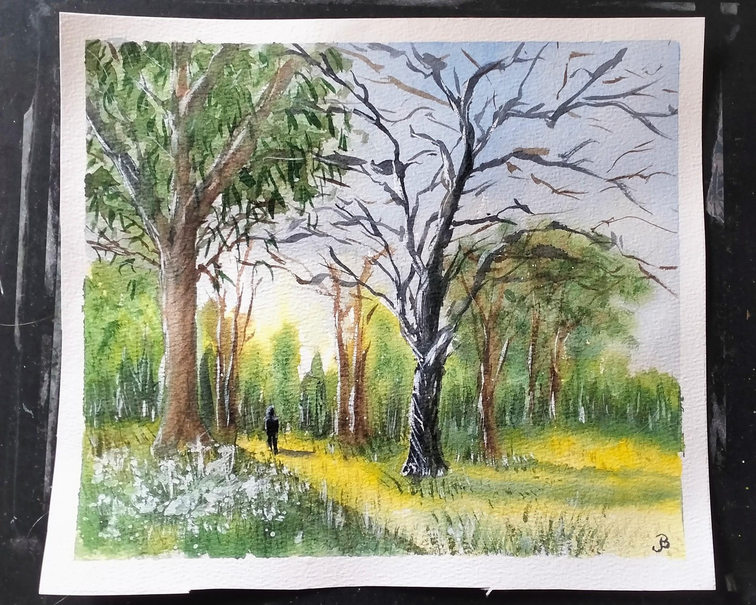 Landscape - image 1 - student project