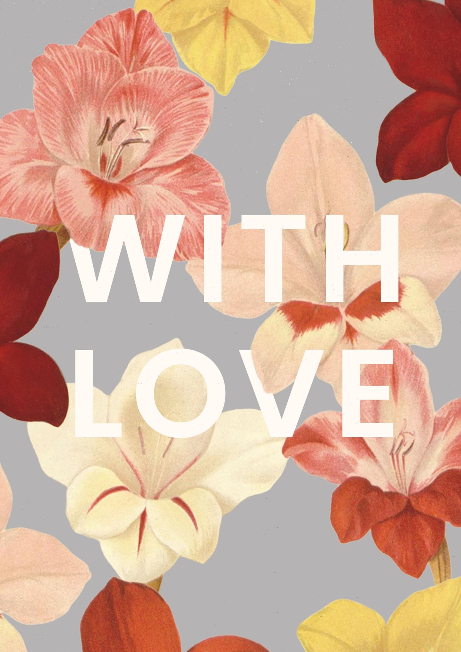 Gladiolus With Love Card - image 8 - student project