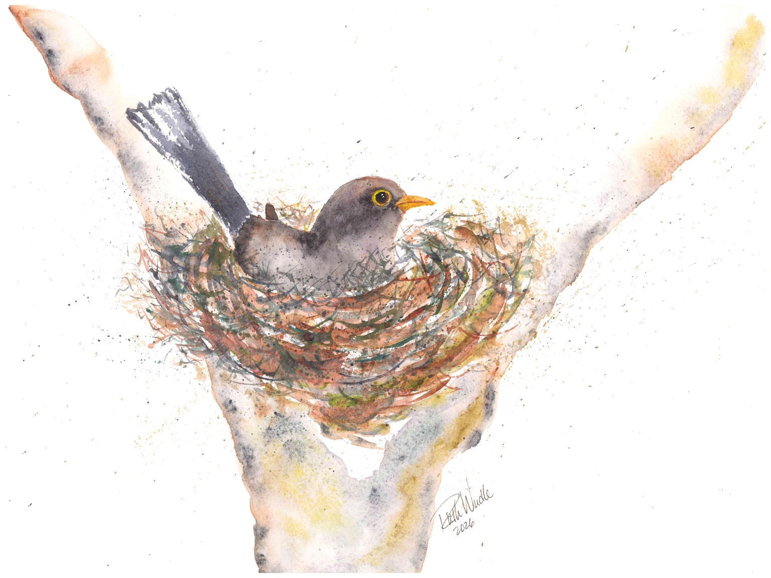 Nesting bird - image 1 - student project