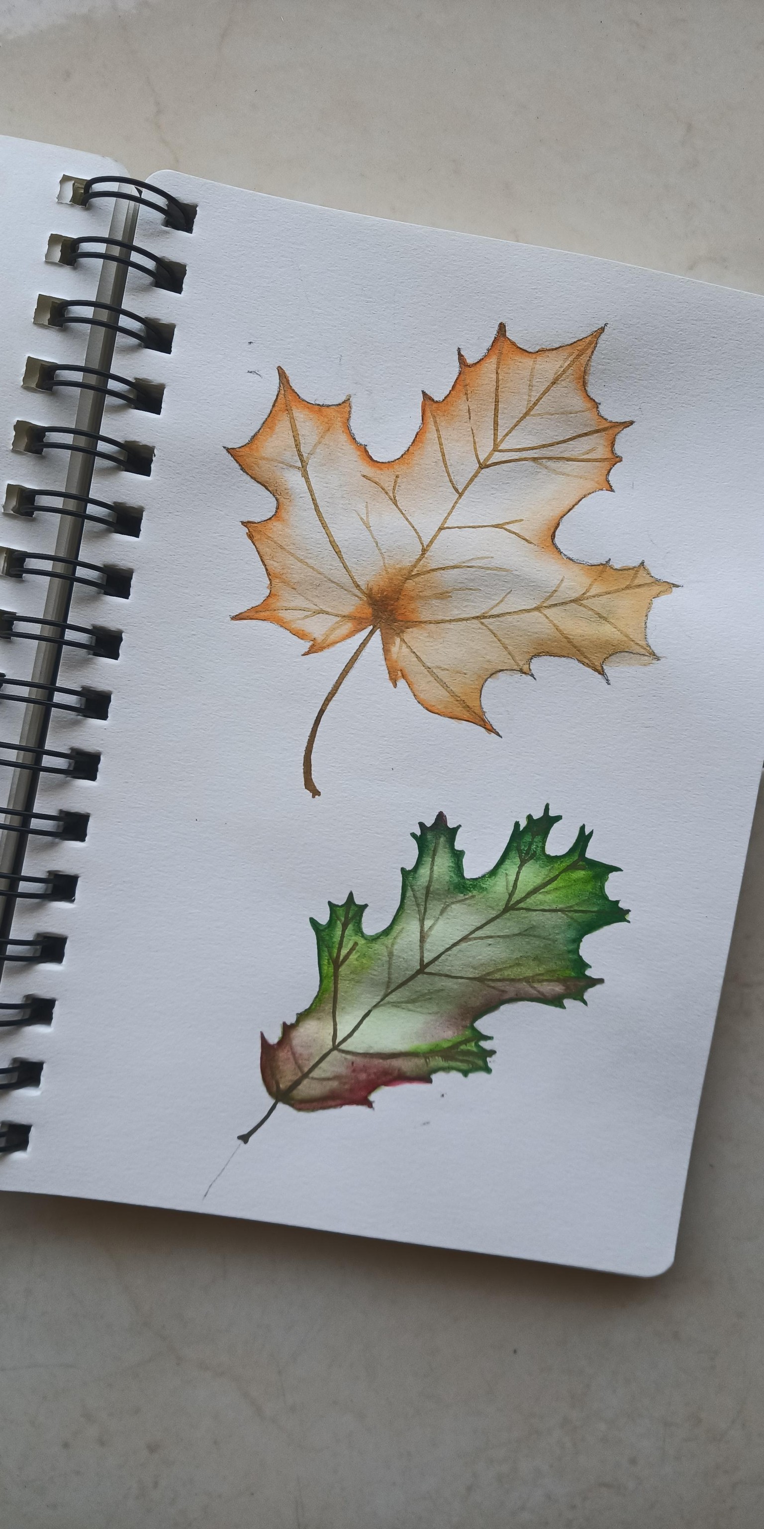 Leaf project - image 4 - student project