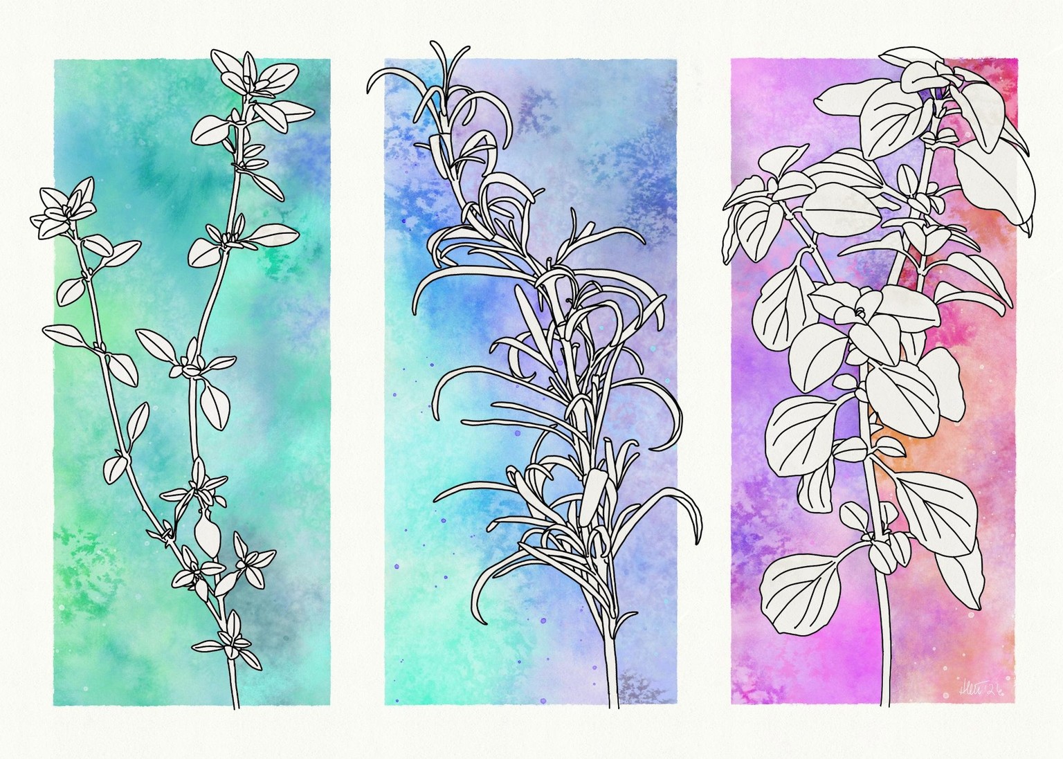 Herbs - image 1 - student project