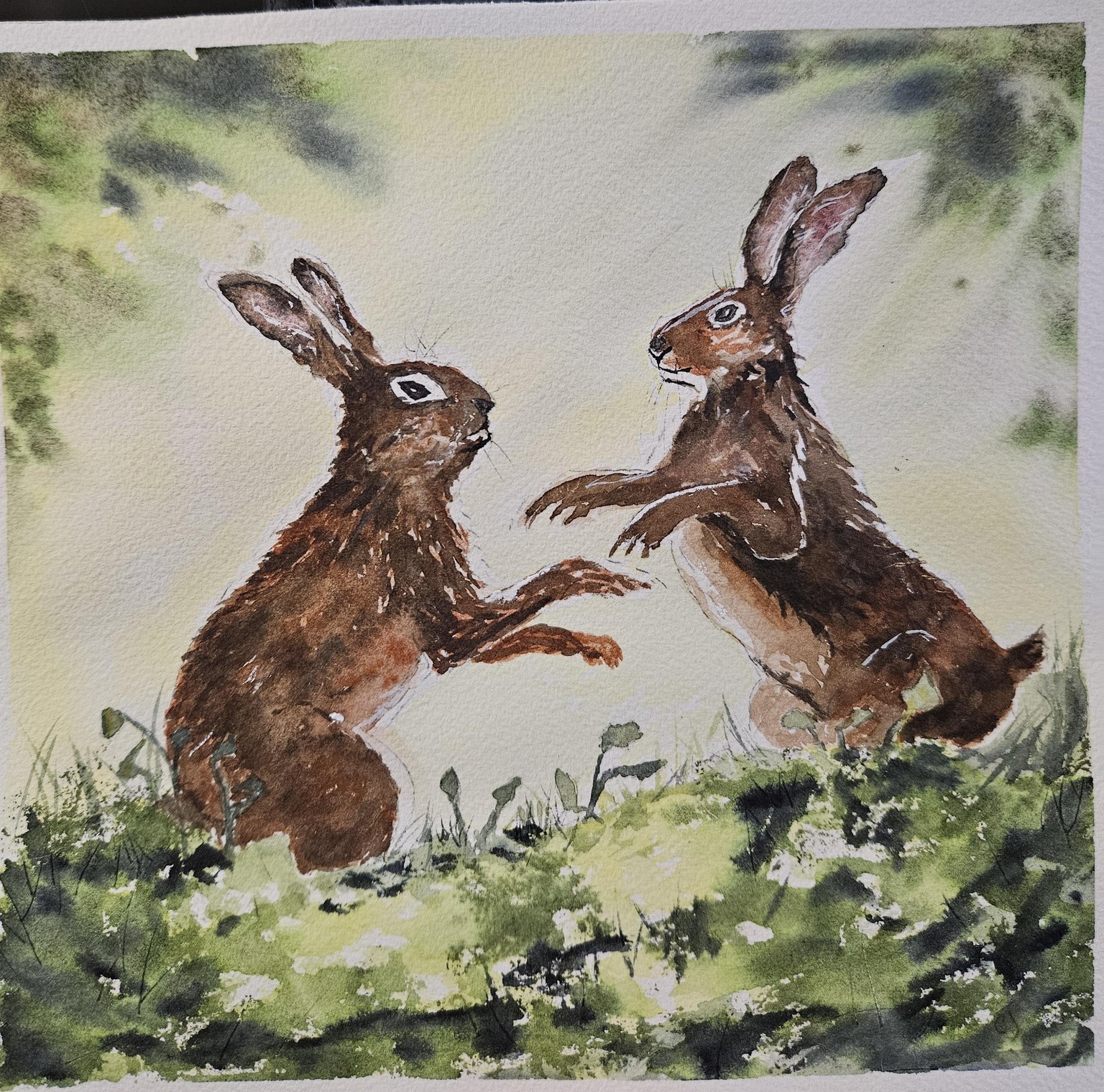 Boxing hares - image 1 - student project