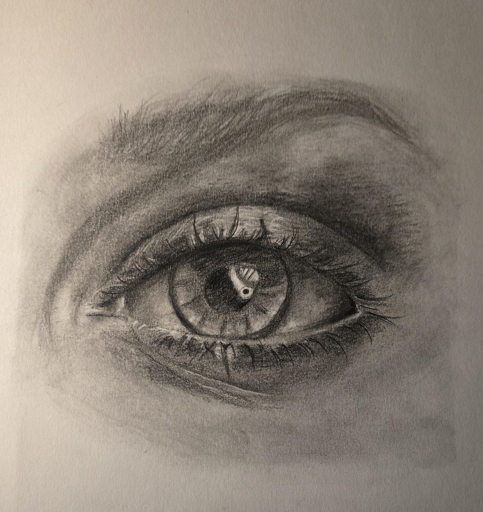 The eye. .. - image 1 - student project