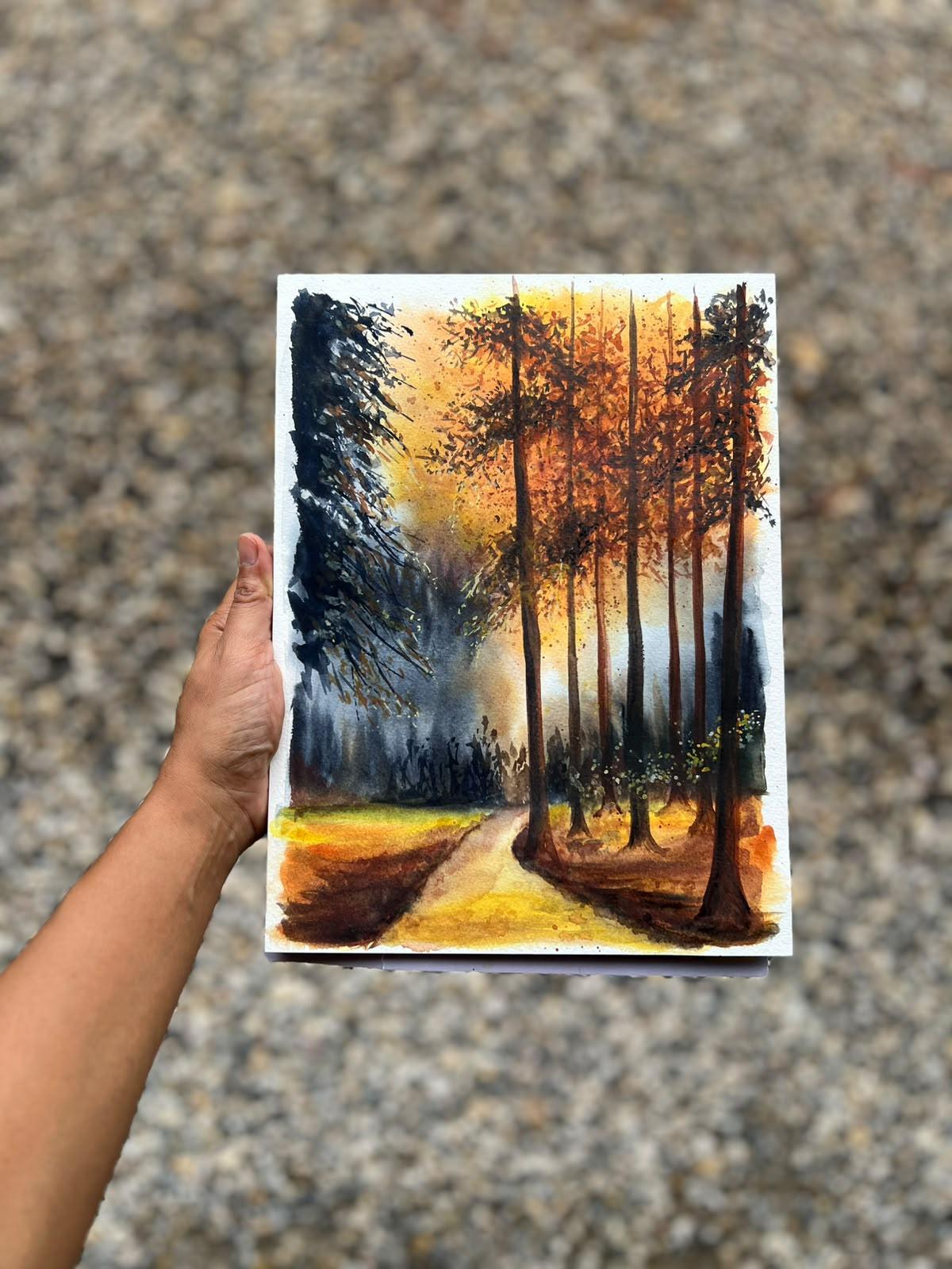 Autumn Forest - image 1 - student project