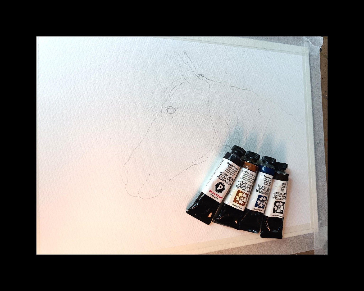 Free flow Blue Horse - image 3 - student project
