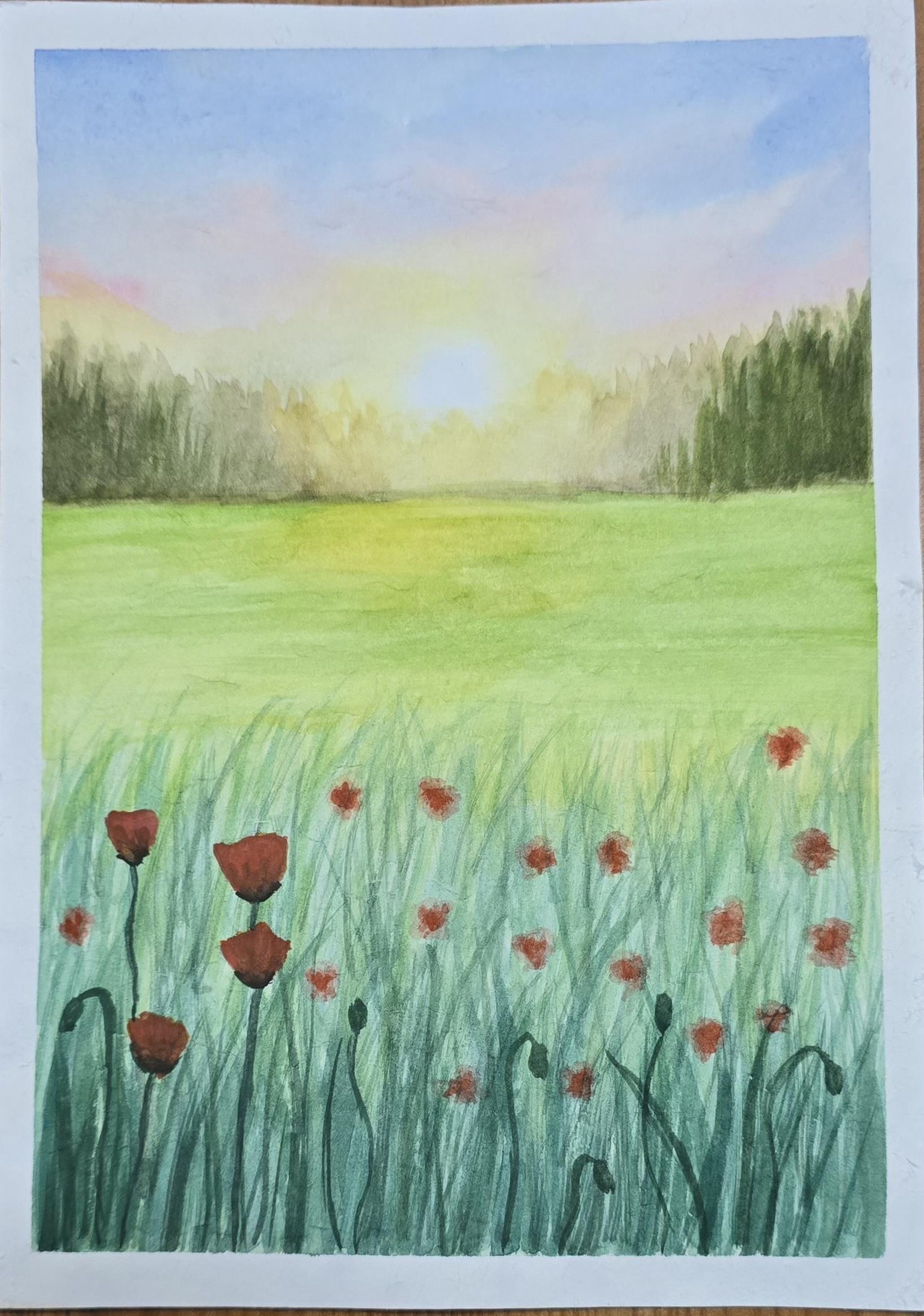 Poppy meadow - image 1 - student project