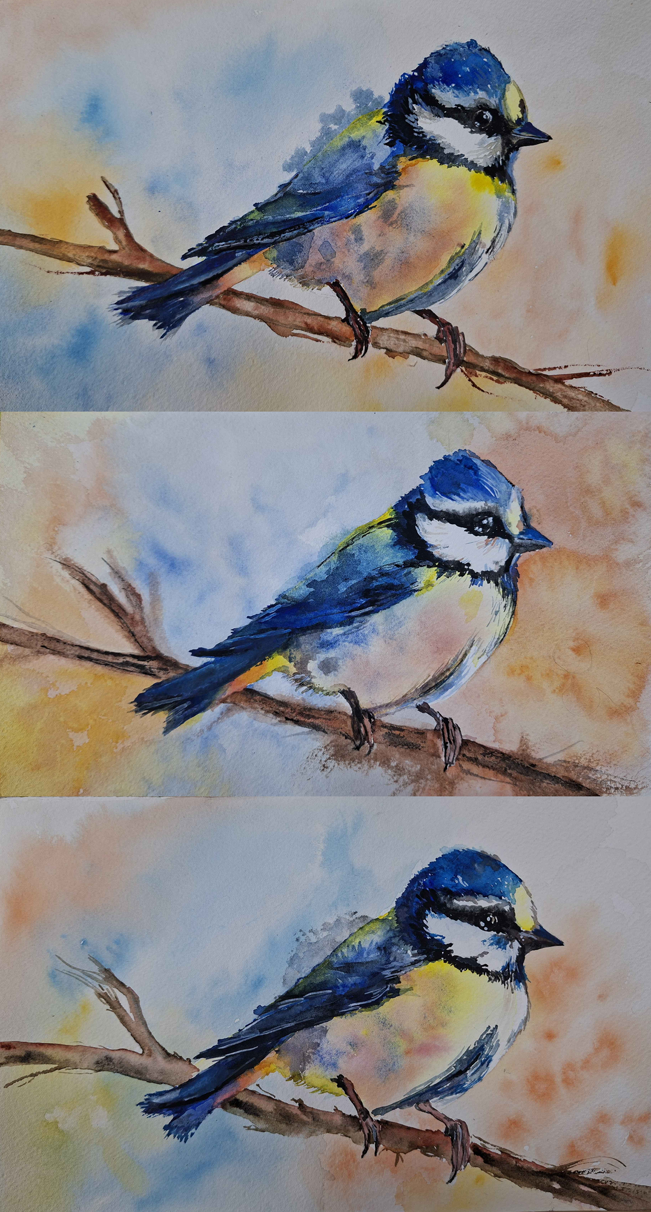 Three tits - image 1 - student project