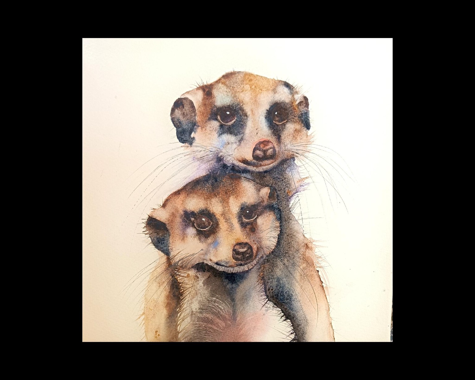 Free flow Meerkats - image 1 - student project