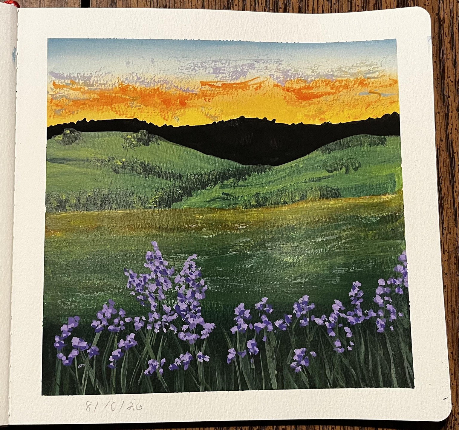 Scenic landscapes - image 3 - student project