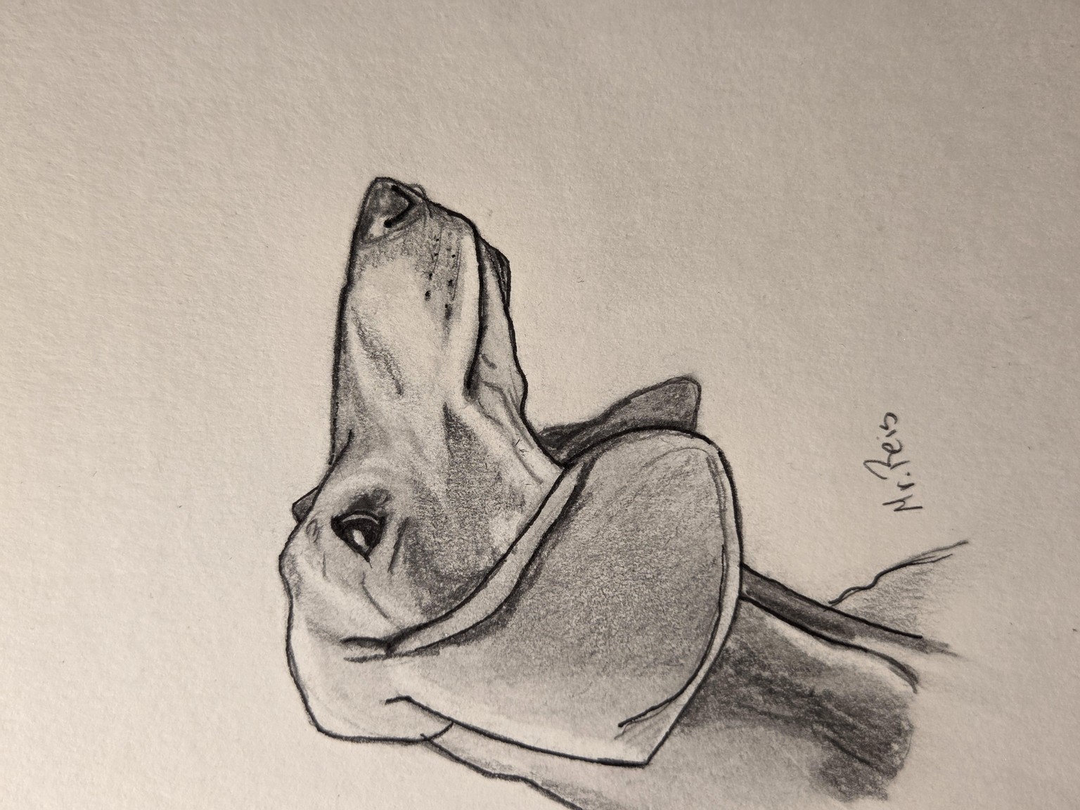 What a great class! - image 2 - student project