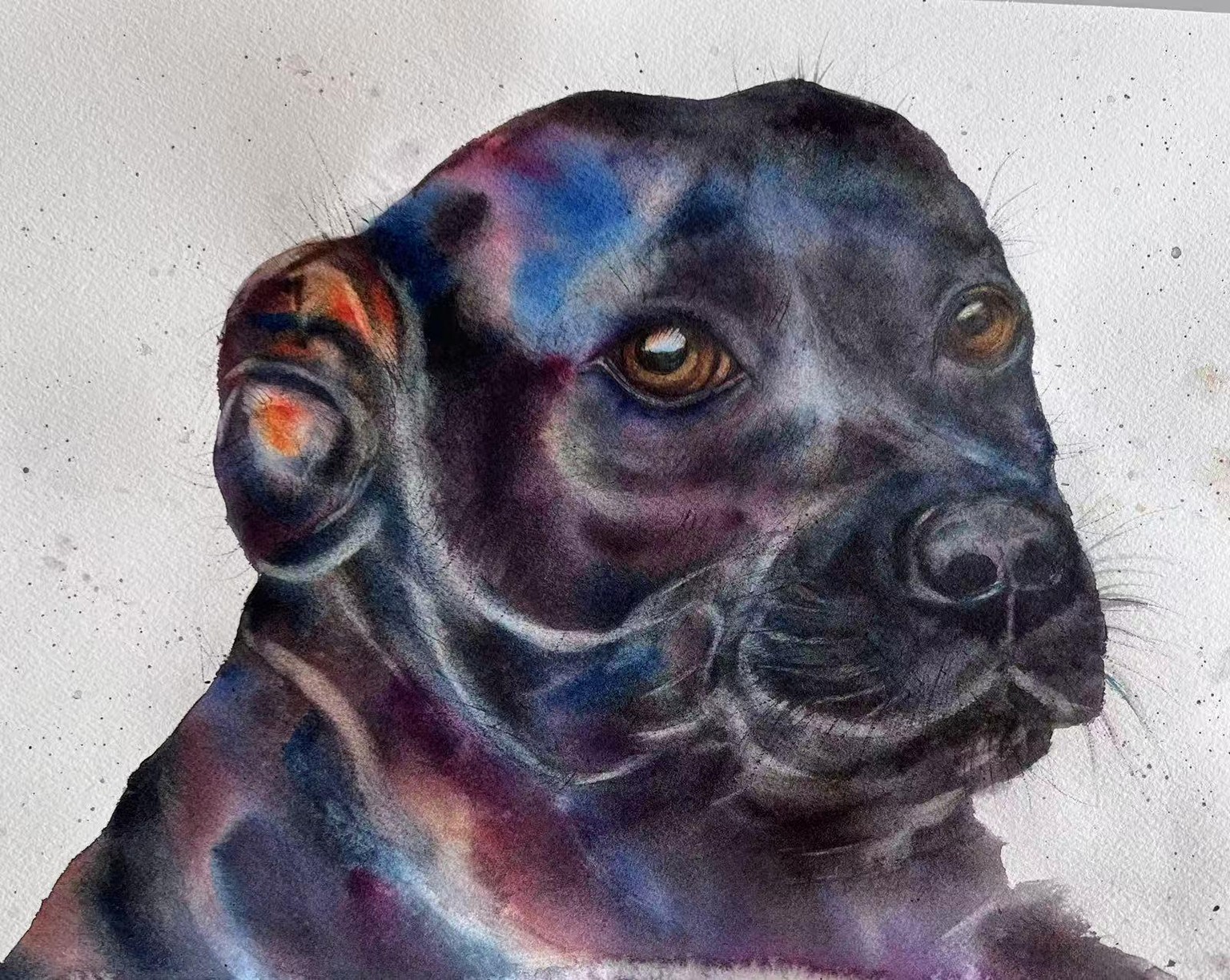 Black Animals - image 2 - student project
