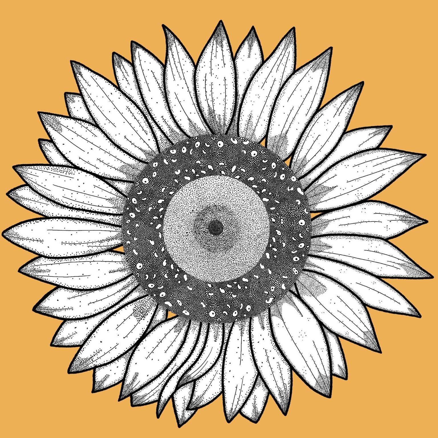 3 times sunflower - image 3 - student project