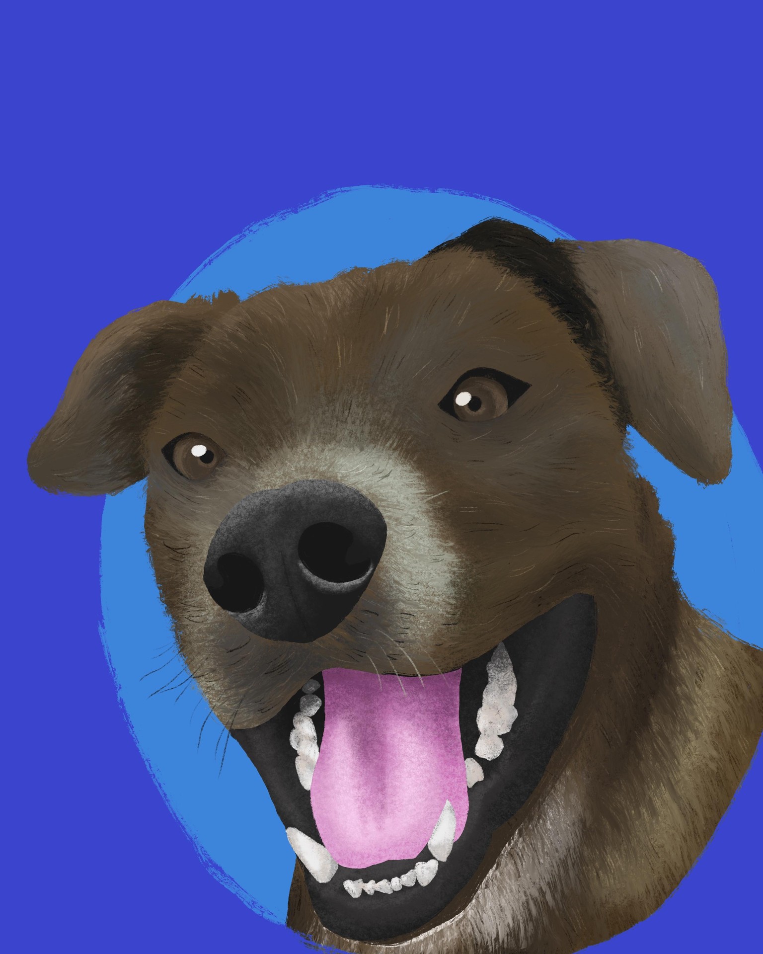 My Pet Portrait - image 1 - student project