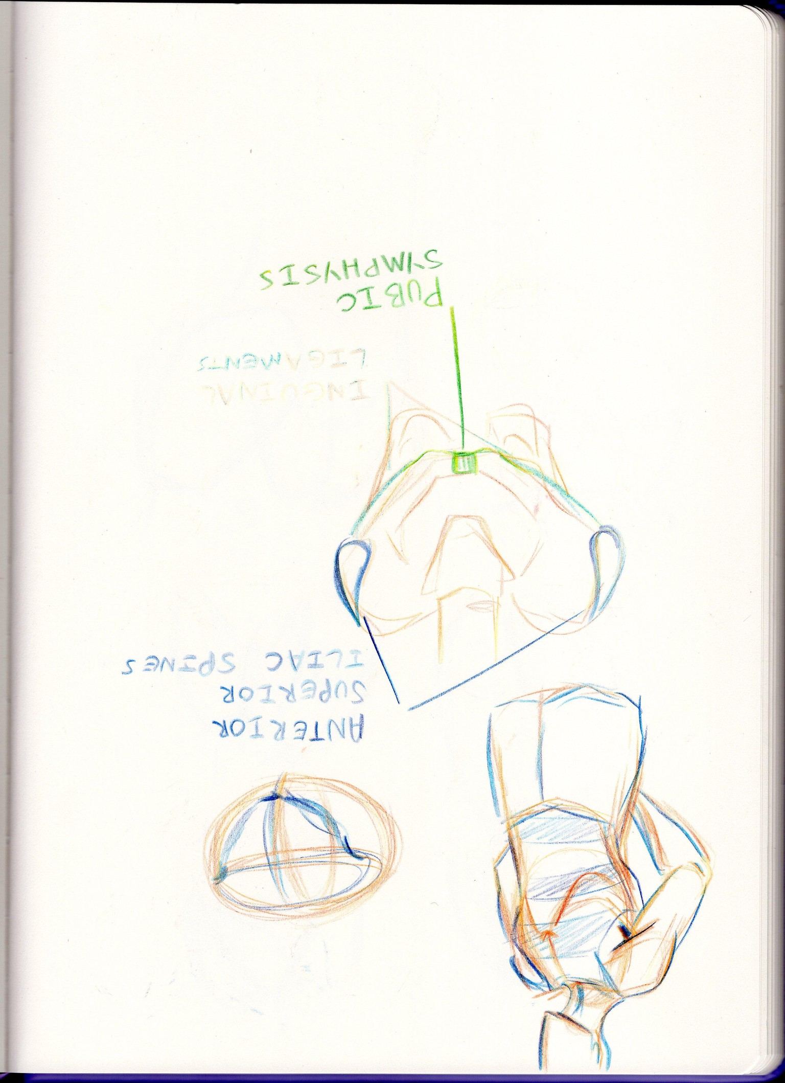 This was great! - image 7 - student project