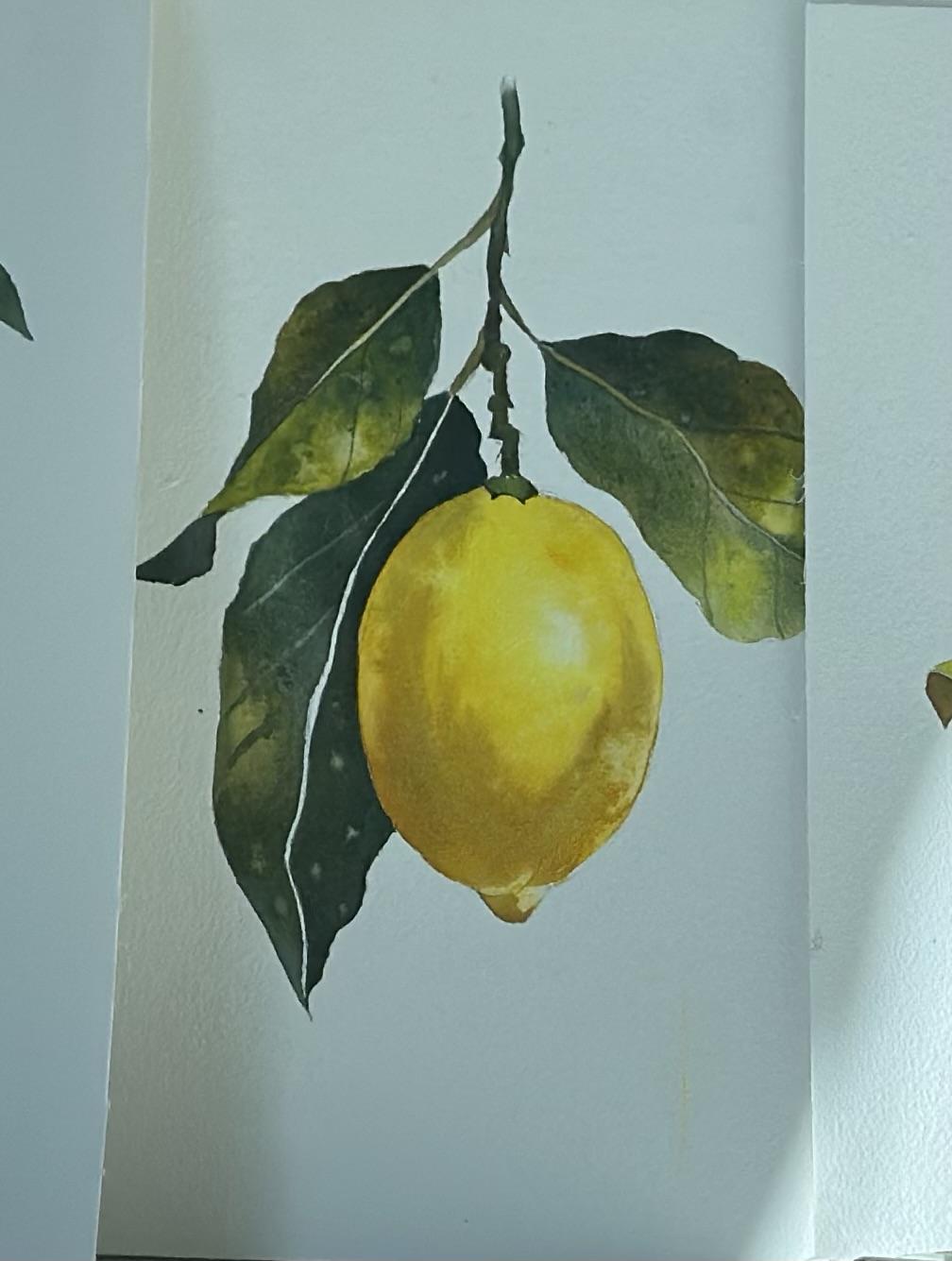 Lemons - image 3 - student project