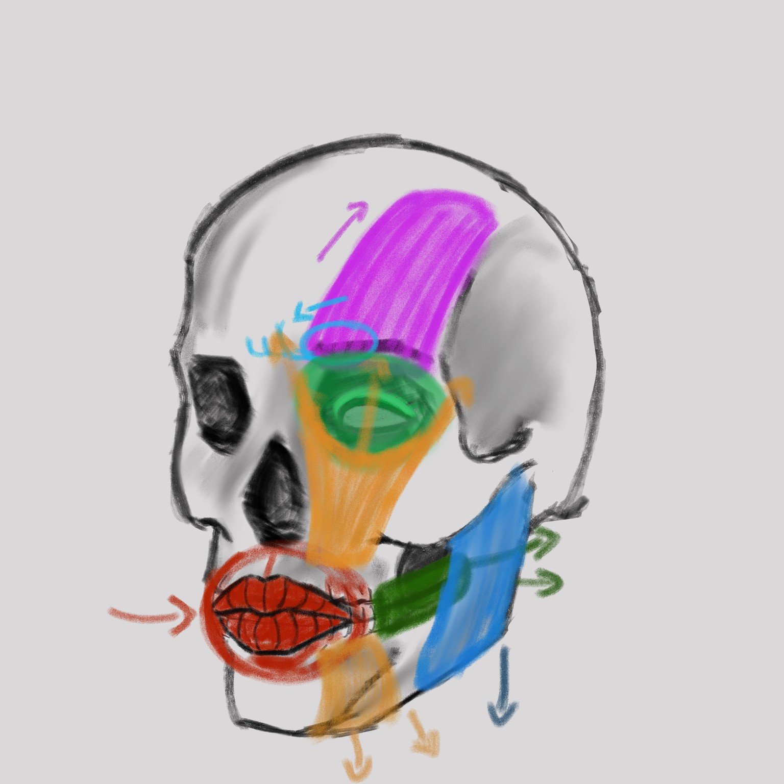Facial expressions - image 1 - student project