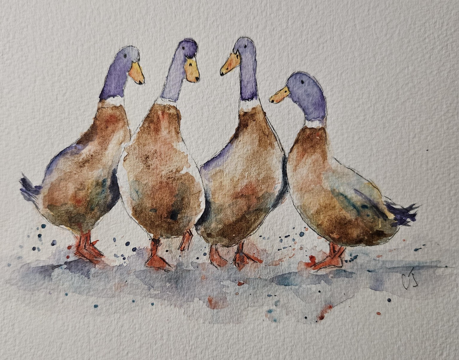 4 ducks in a row - image 1 - student project