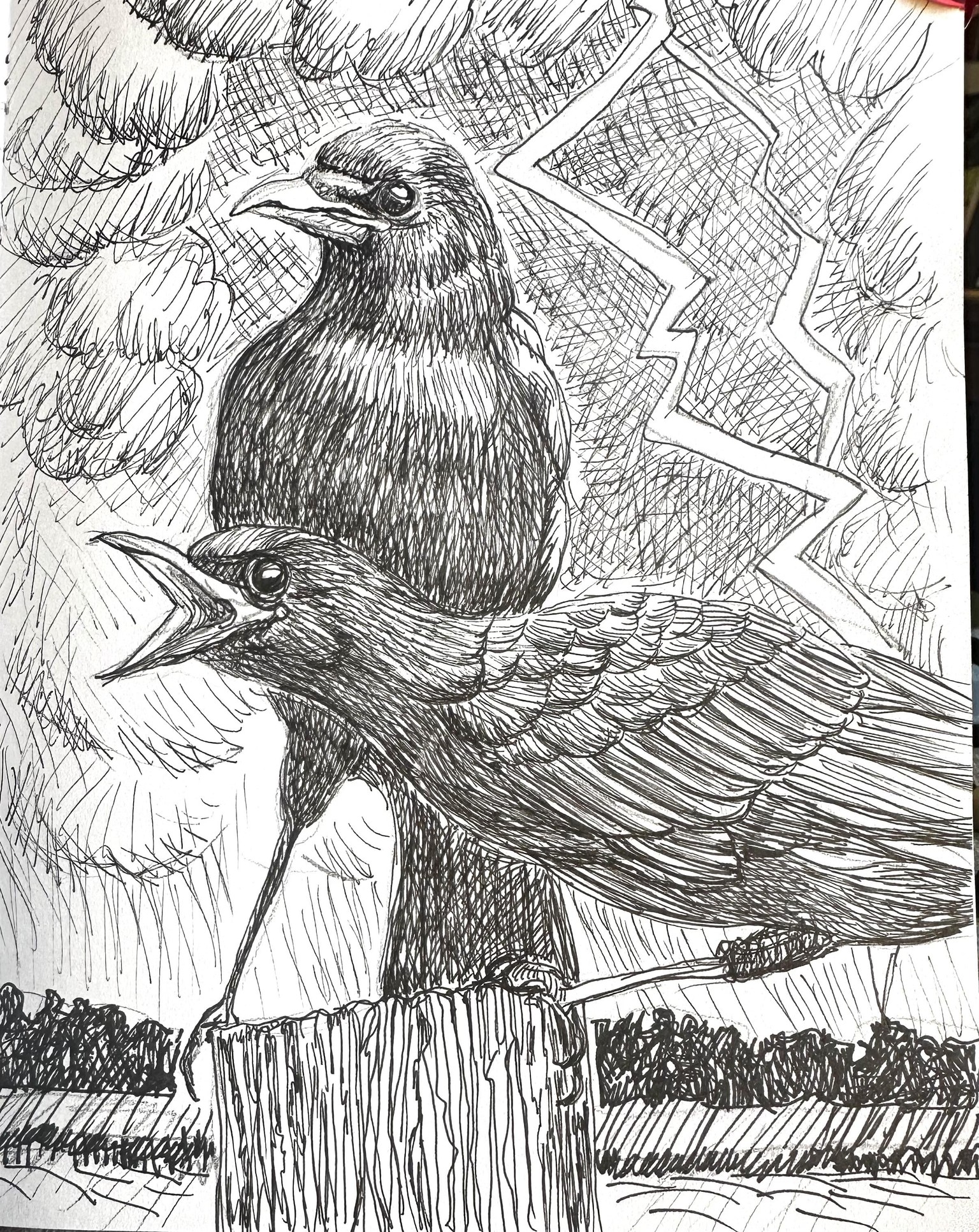 Crows Afraid of Storm - image 1 - student project