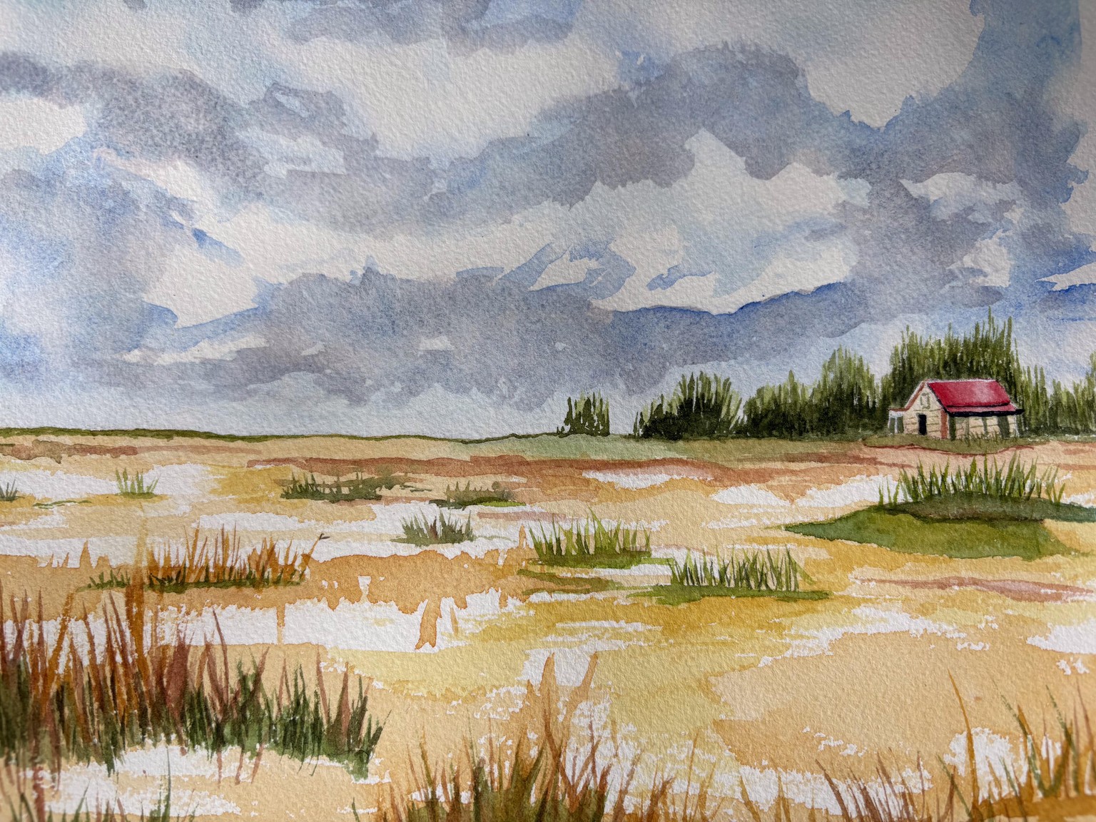 Prairie Scene - image 2 - student project