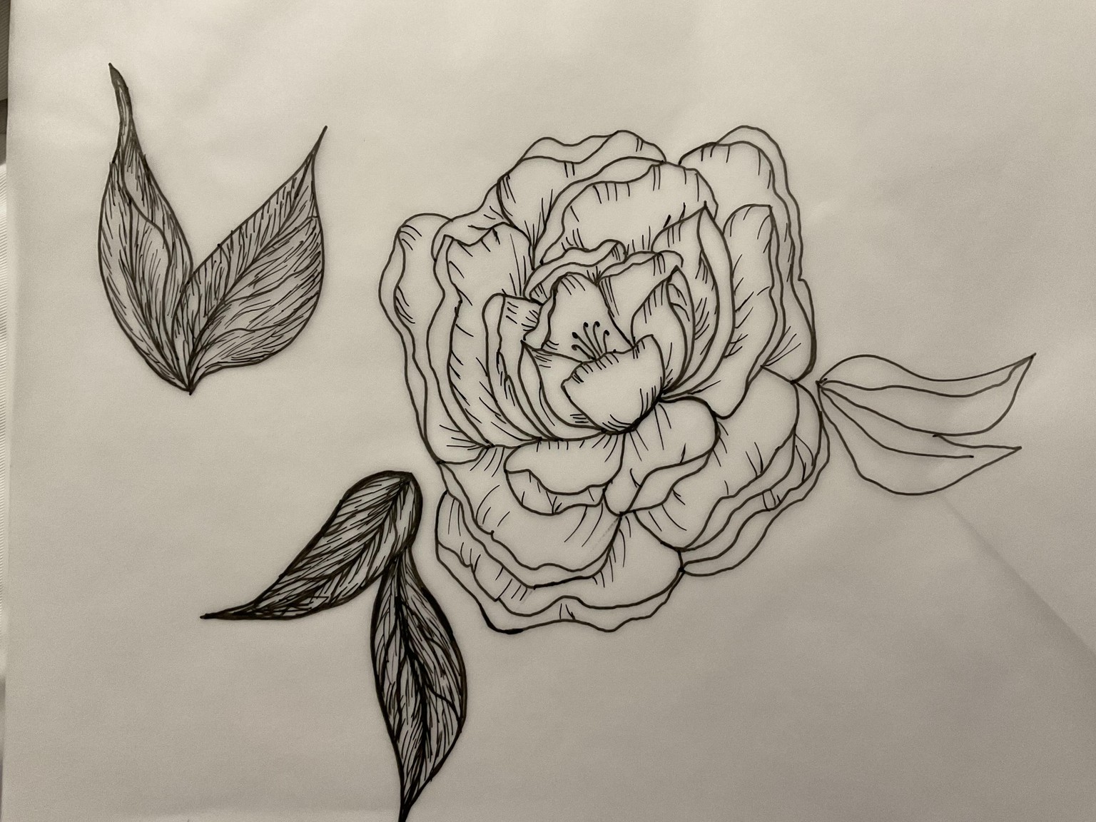A pony flower - image 1 - student project