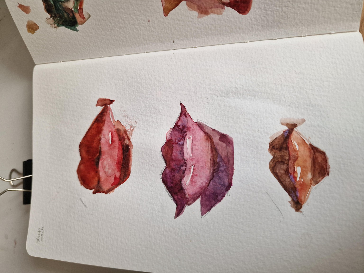 Trying out my watercolor  skillss - image 2 - student project