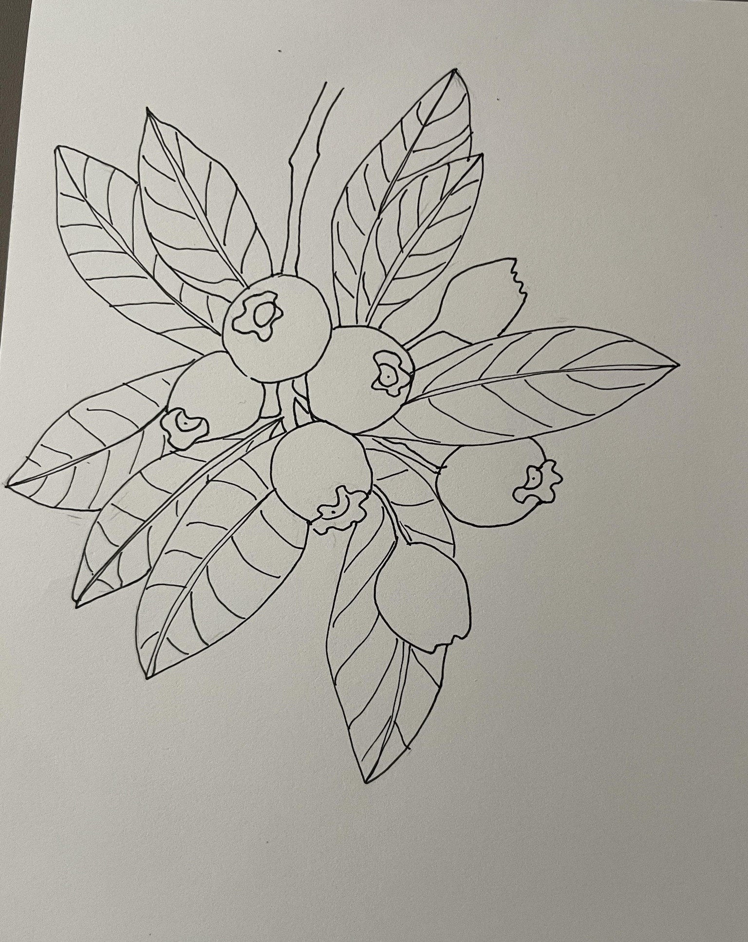 Markers - expressive fruits - image 7 - student project