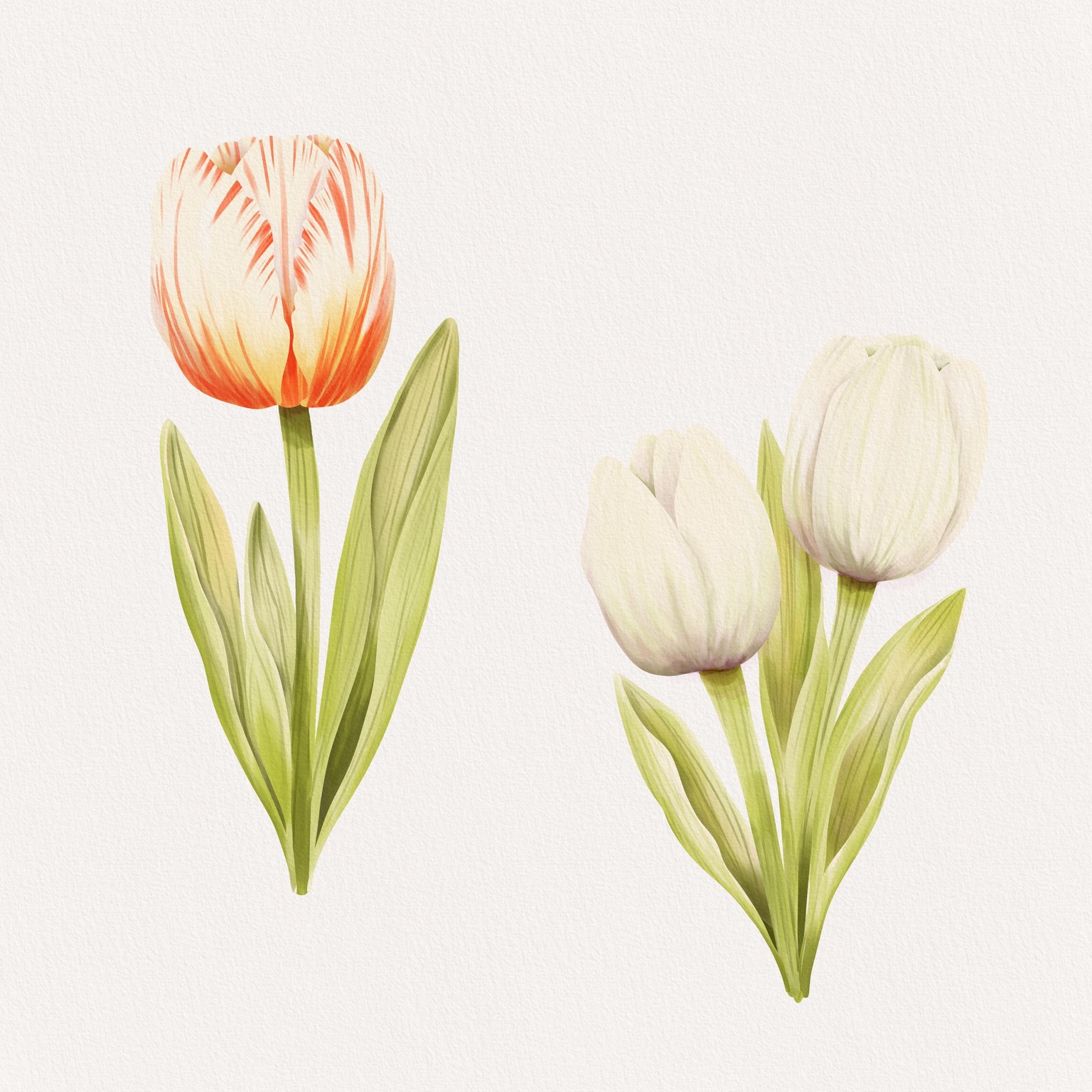 A Dutch girl just has to paint Tulips - image 1 - student project