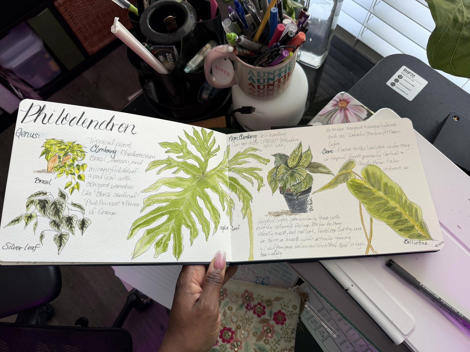 Loving this idea, great sketching /painting/reasearch practice - image 1 - student project