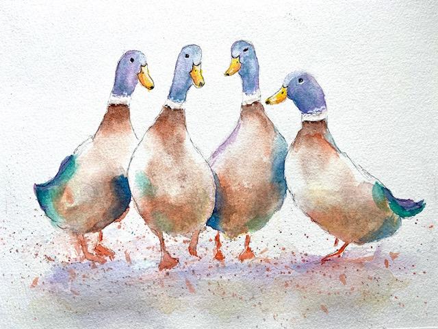 Loose Ducks having a chat - image 1 - student project