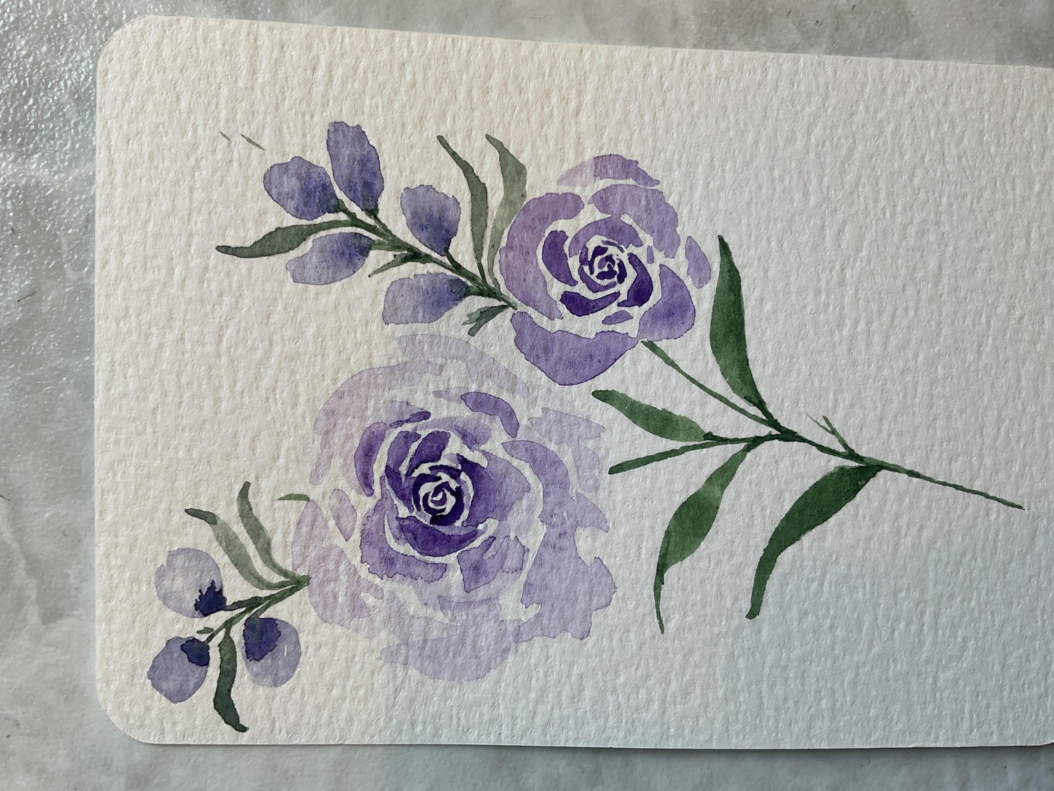 My first roses! - image 1 - student project