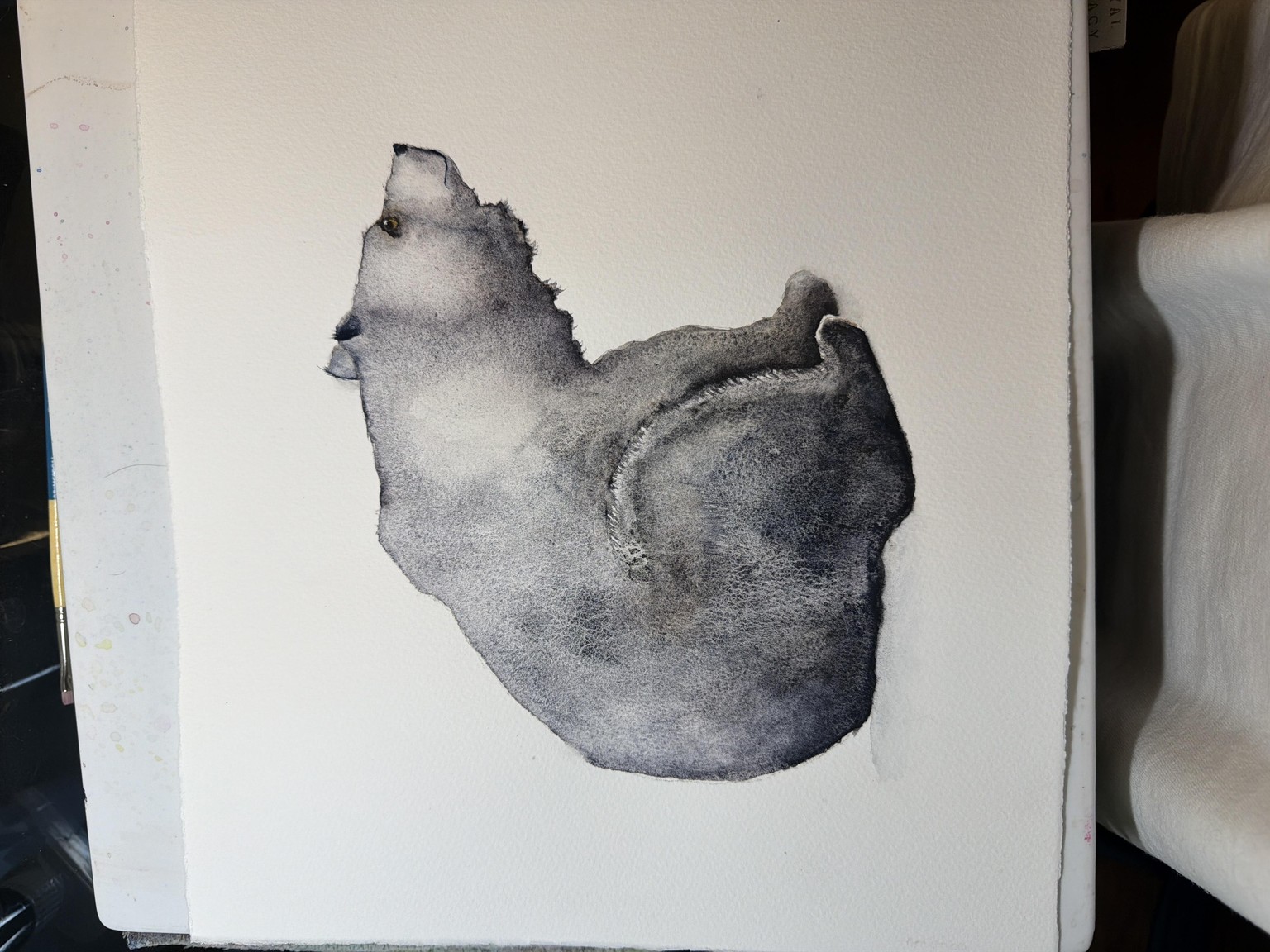 Black bear. - image 1 - student project