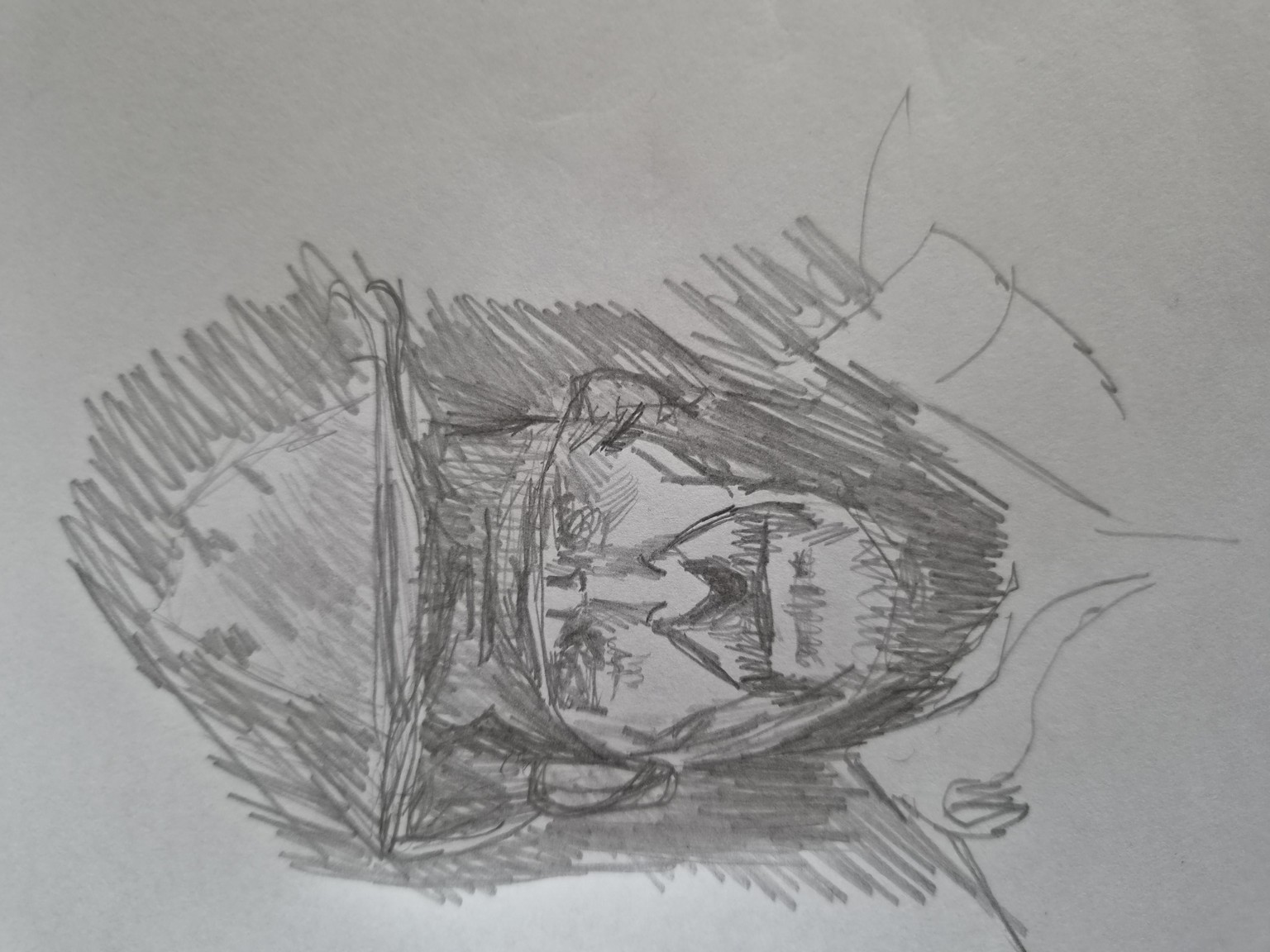 Monochrome Watercolor Portraits day 1-7 - image 5 - student project