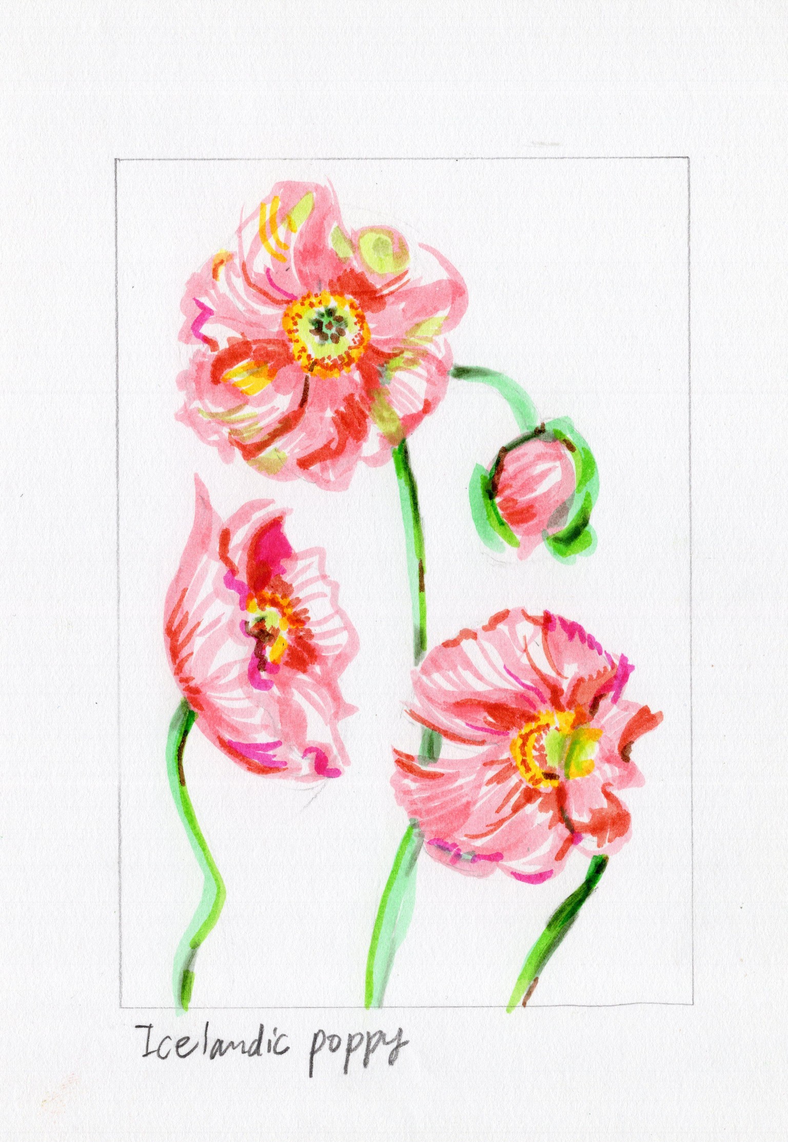 Finally Used Tombow brush I bought 10 years ago - image 3 - student project