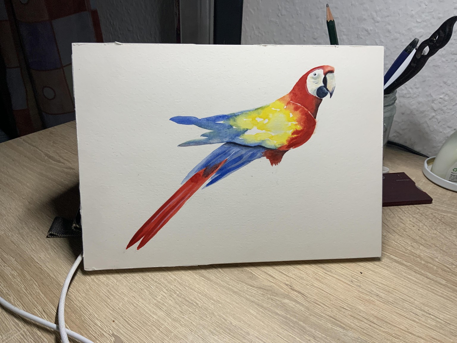 Parrot - image 1 - student project