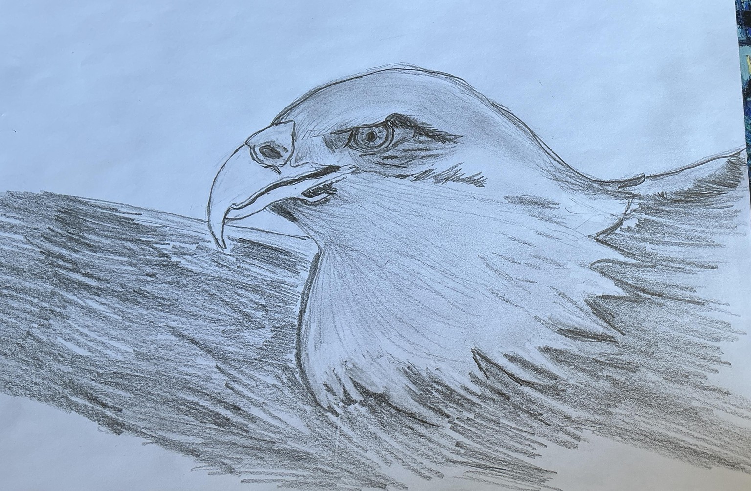 Freedom - image 1 - student project