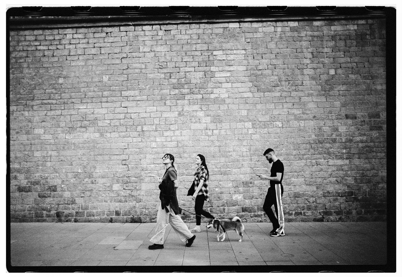 We are all just passing by - image 4 - student project