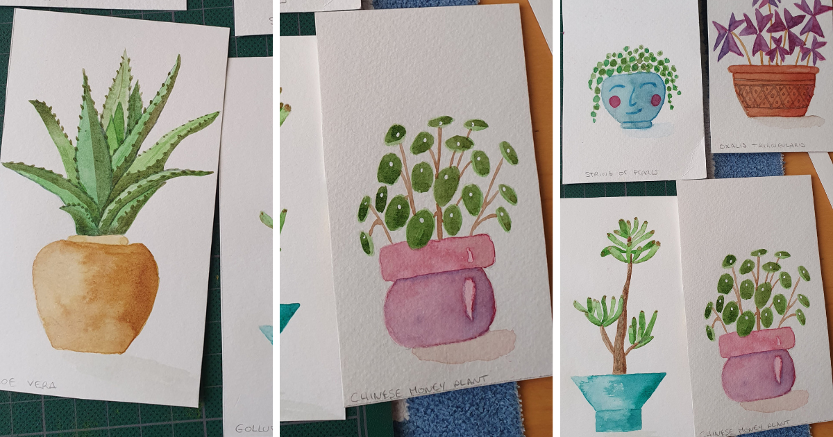 14 days, 14 plants, and one big lesson : just keep going - image 2 - student project