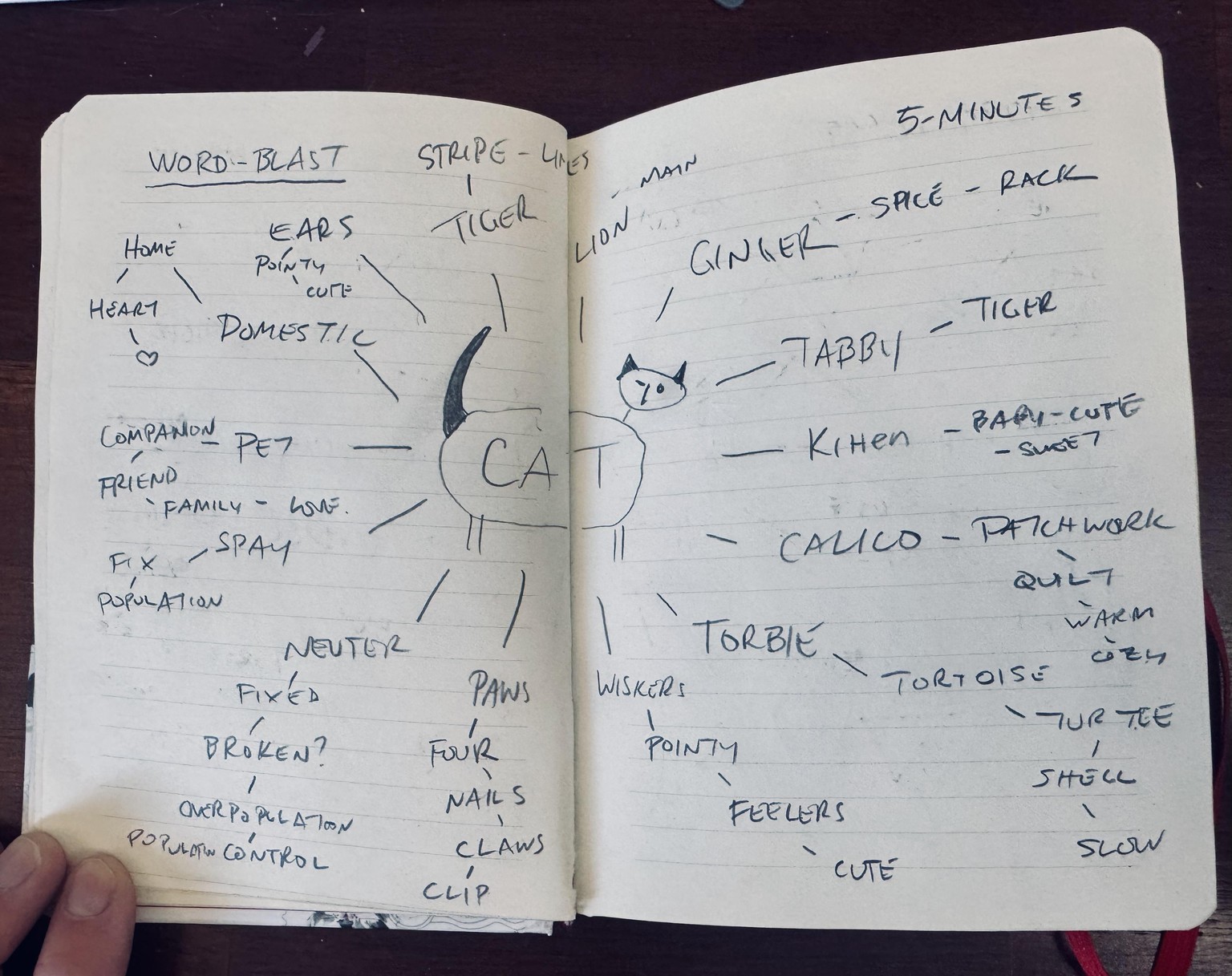 Word-Blast CAT - image 1 - student project