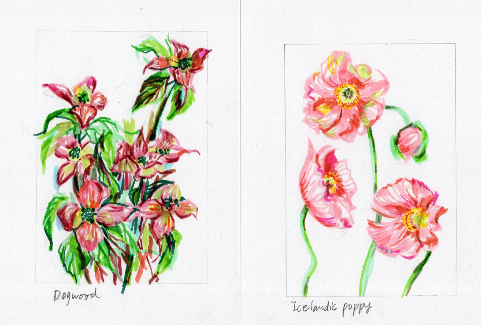 Finally Used Tombow brush I bought 10 years ago - image 1 - student project