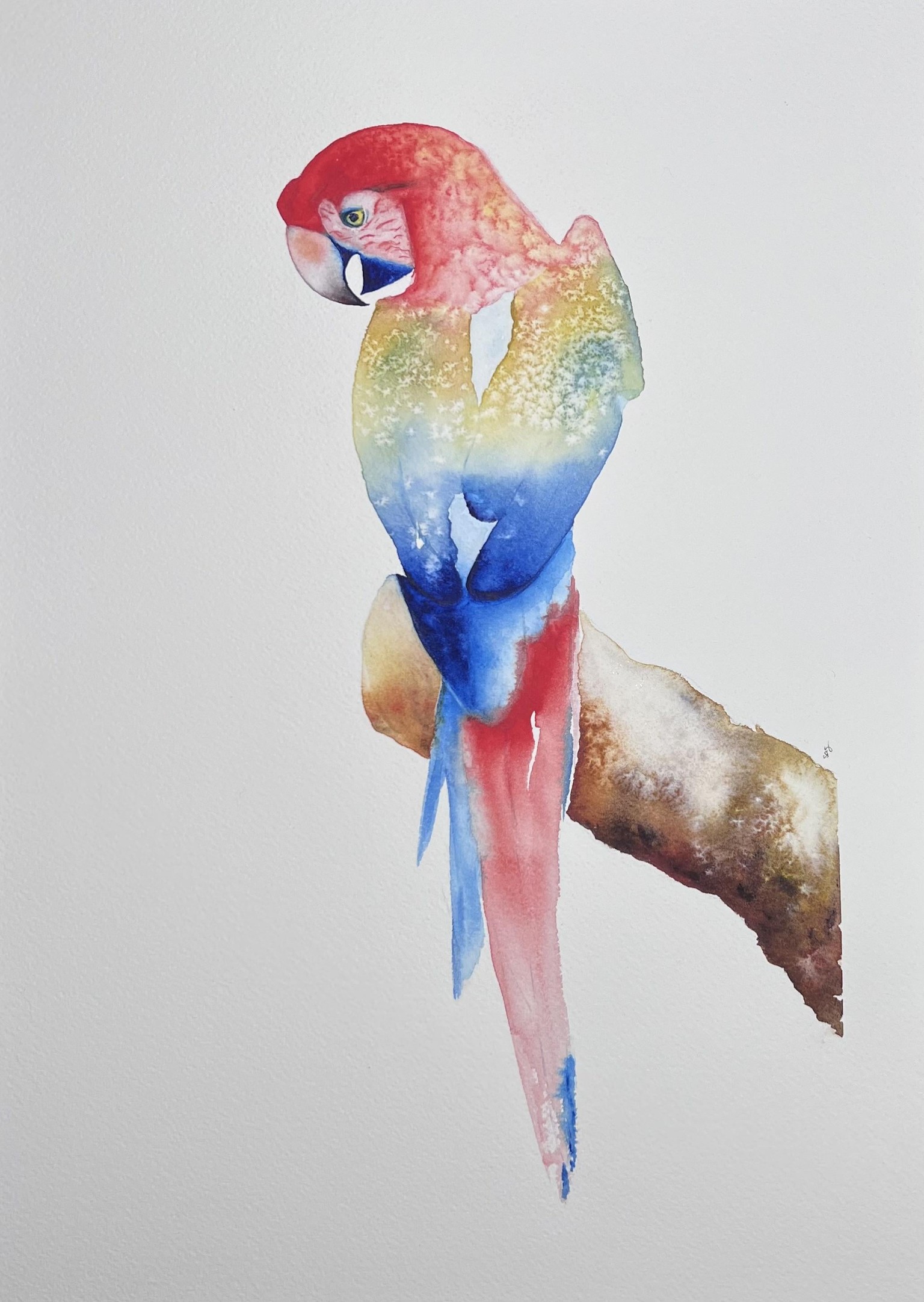 Free-Flow parrot - image 1 - student project