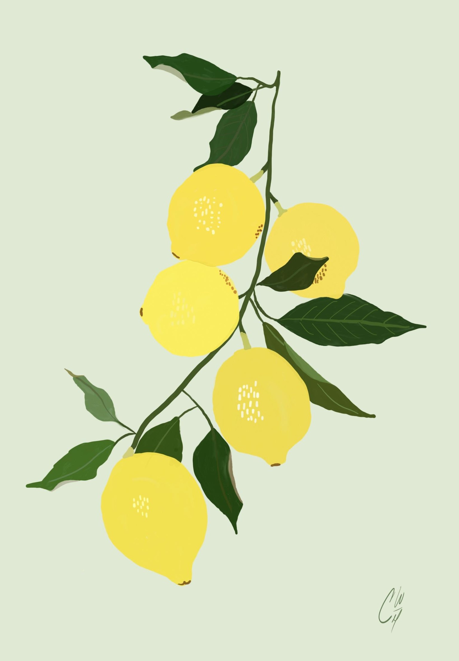 Gouache Study: Lemon - image 1 - student project