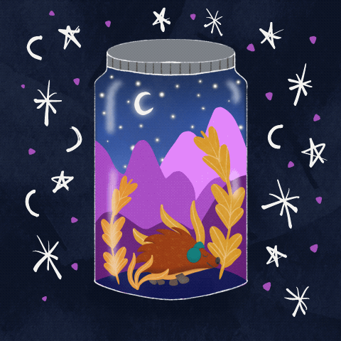 Hedgehog in a jar! - image 2 - student project